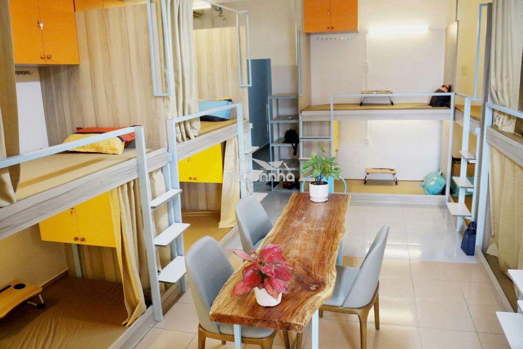 Ở ghép là gì? So sánh Ở ghép và Thuê nguyên căn - Chọn lựa phù hợp