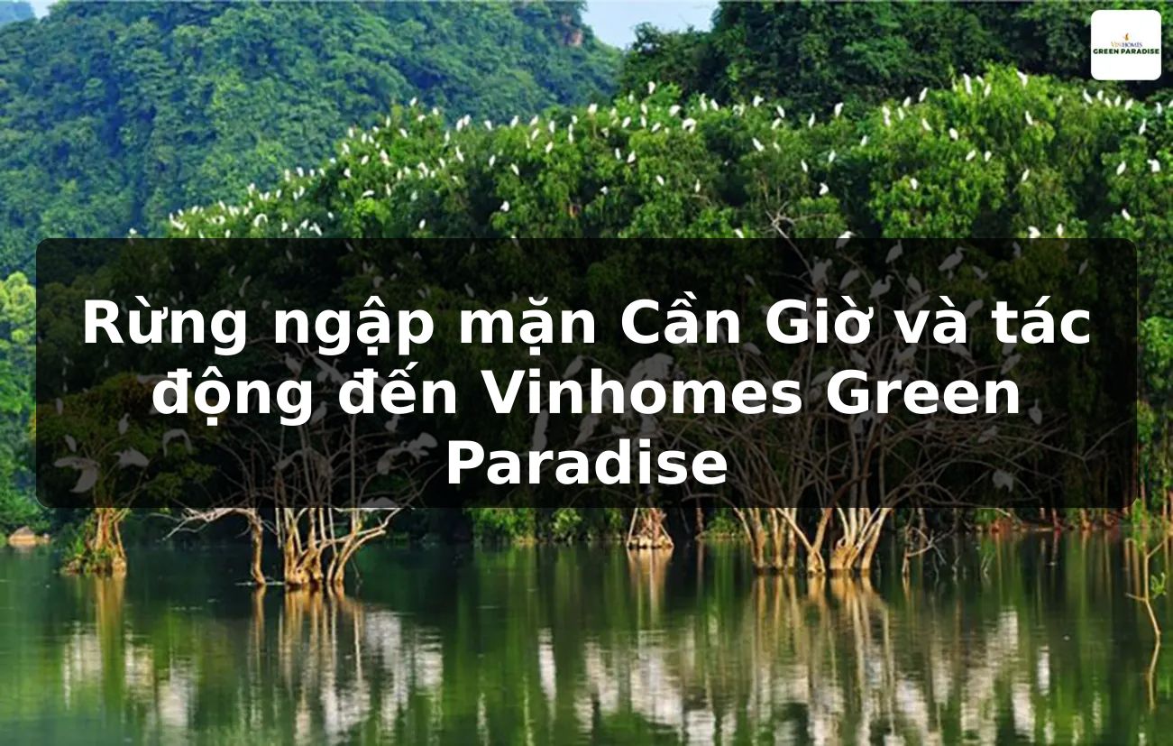 Rừng ngập mặn Cần Giờ và tác động đến Vinhomes Green Paradise